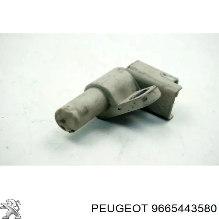 Купити 9665443580 Peugeot/Citroen ДПРВ