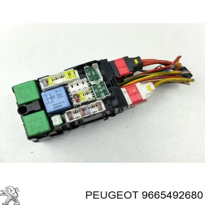  9665492680 Peugeot/Citroen
