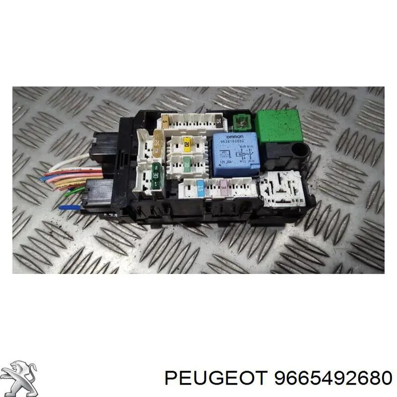 9665492680 Peugeot/Citroen 