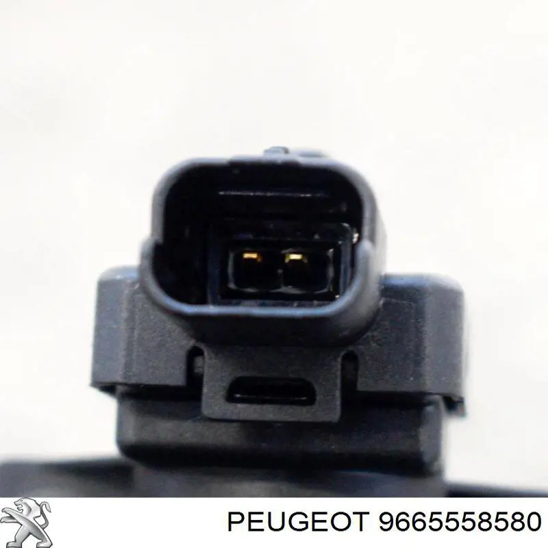 9665558580 Peugeot/Citroen 