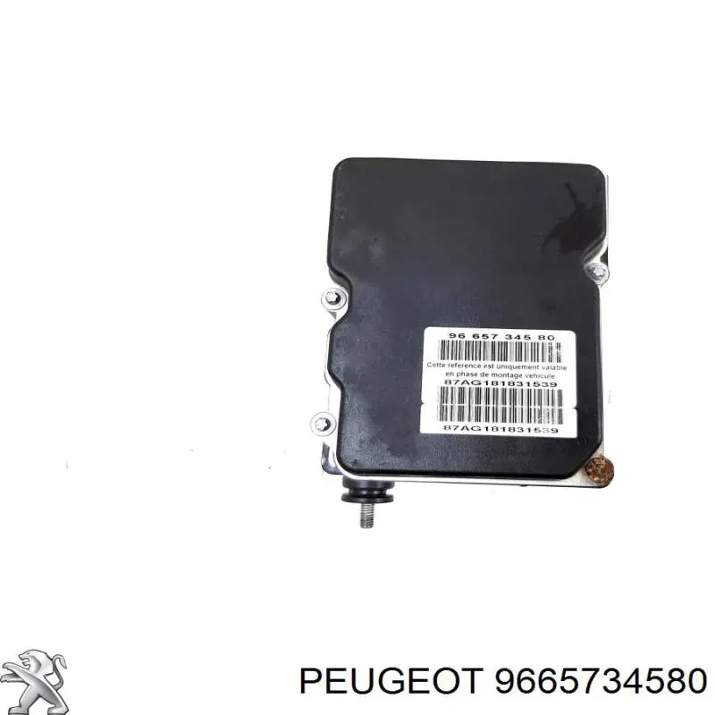 9665734580 Peugeot/Citroen