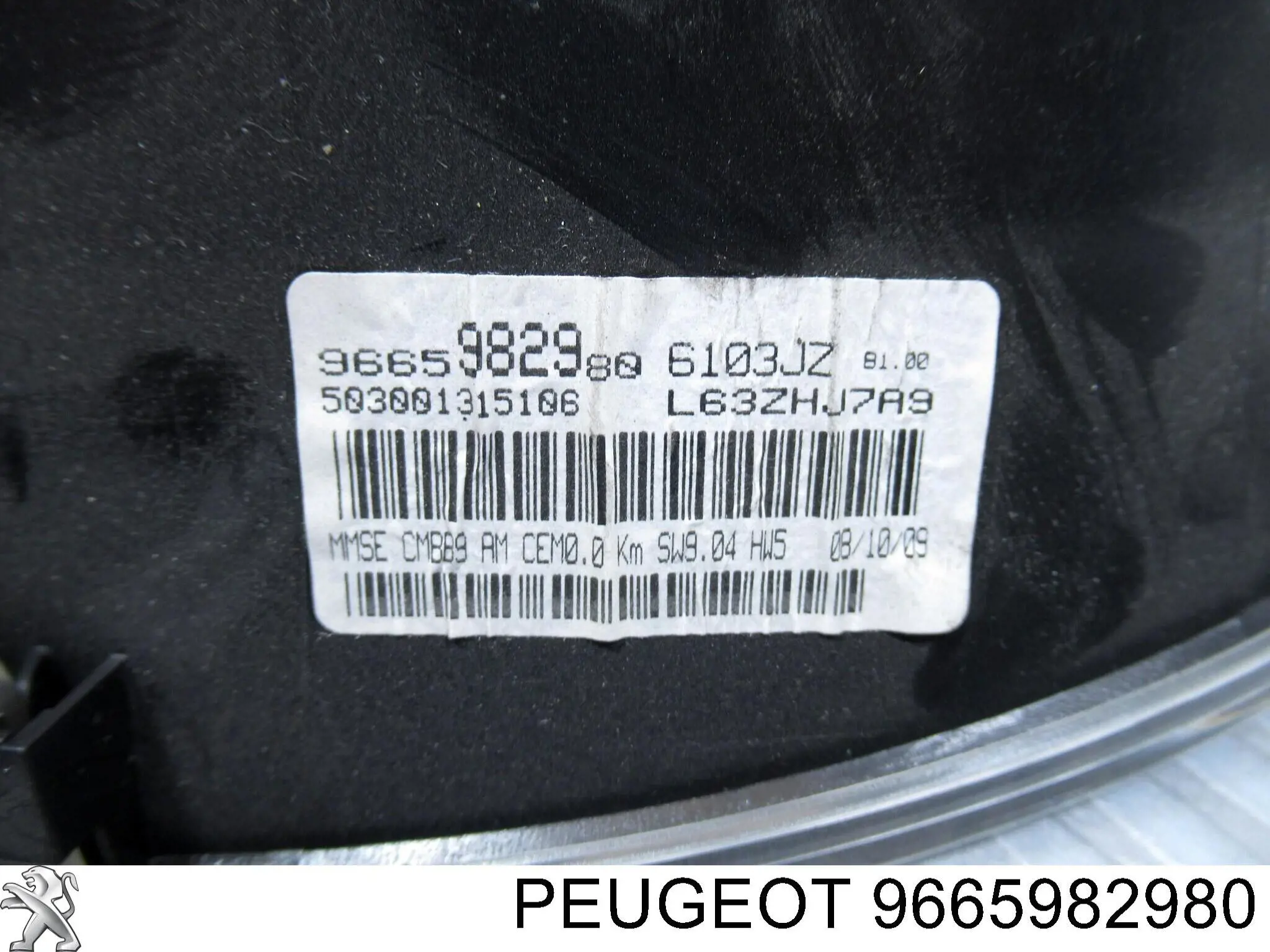 9665982980 Peugeot/Citroen 