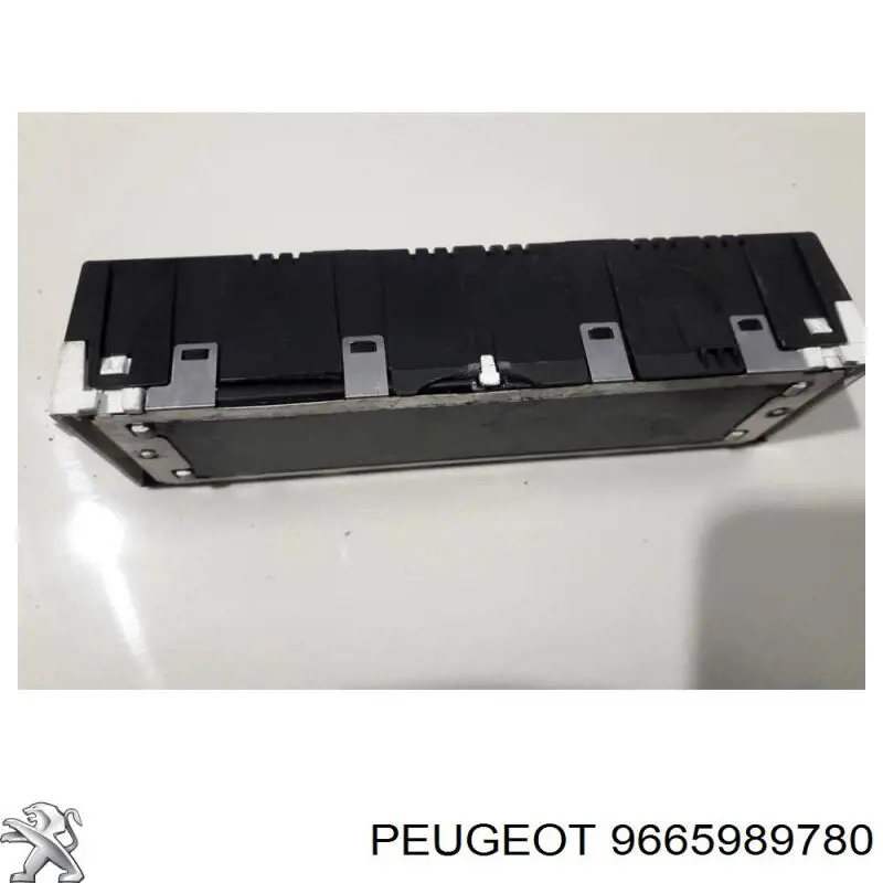  9665989780 Peugeot/Citroen