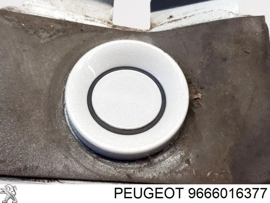 Парктронік, комплект для установки Peugeot/Citroen 9666016377 ціна, від 15.13 USD