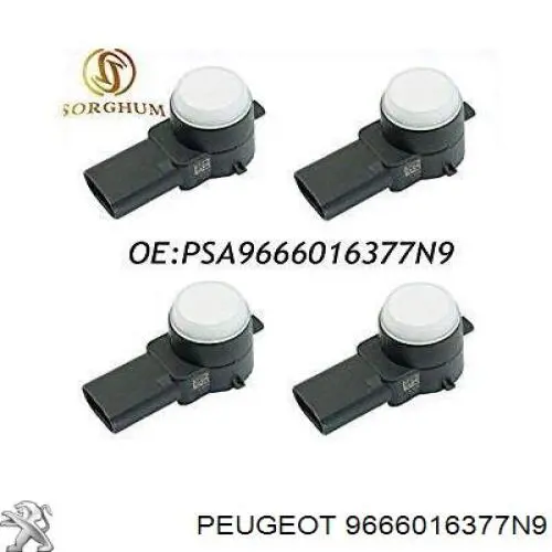 9666016377N9 Peugeot/Citroen 