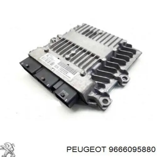 9666095880 Peugeot/Citroen 