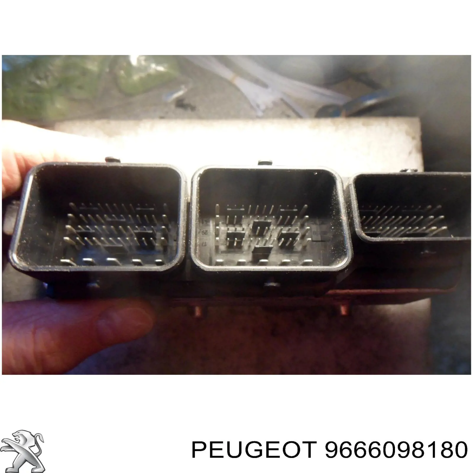 9666098180 Peugeot/Citroen 