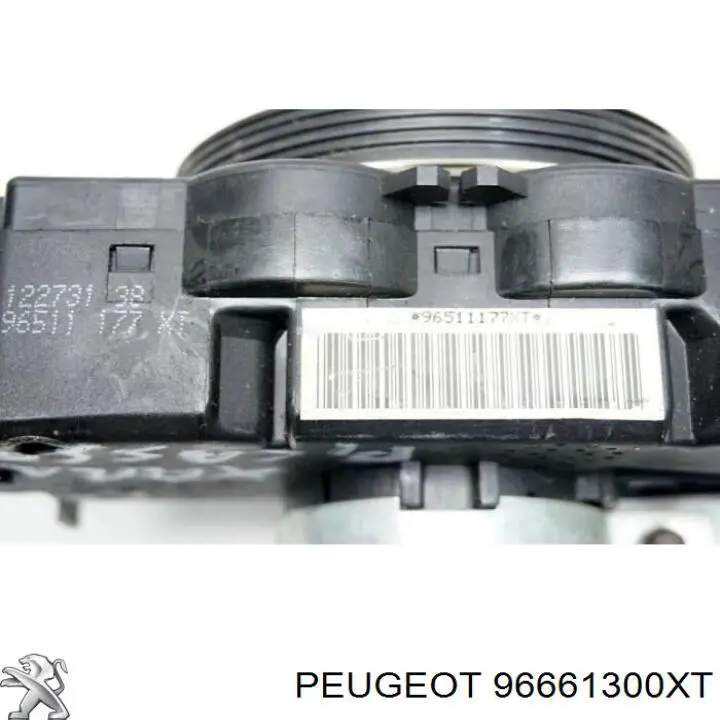  96661300XT Peugeot/Citroen