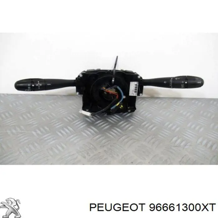  96661300XT Peugeot/Citroen