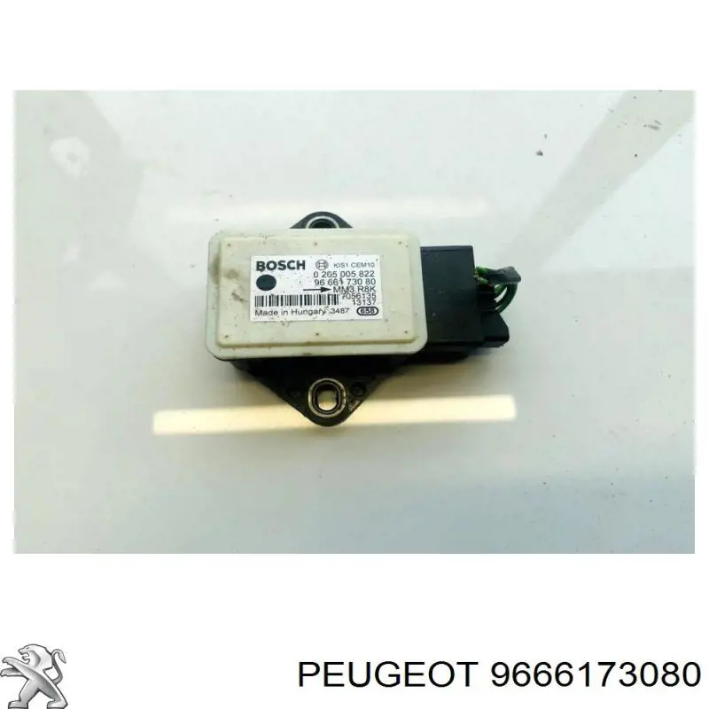 9666173080 Peugeot/Citroen 