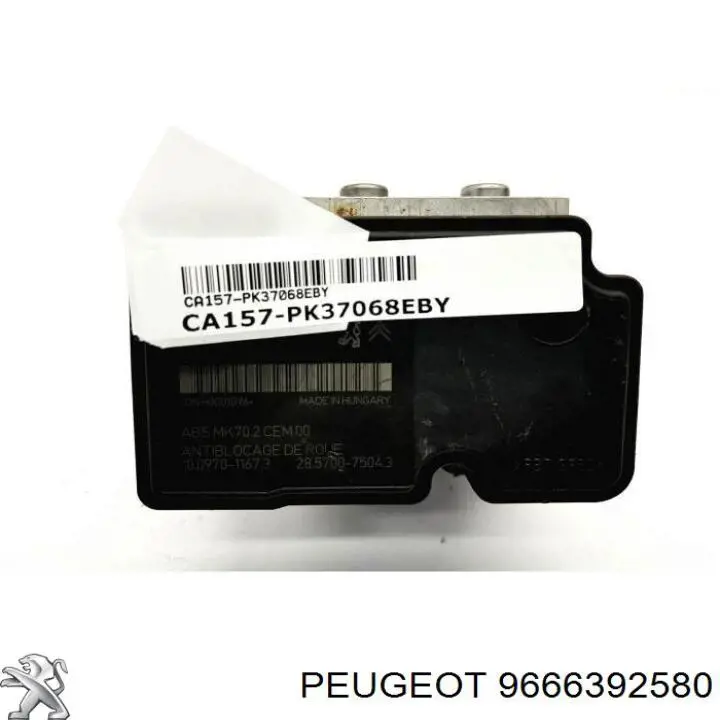 9666392580 Peugeot/Citroen 