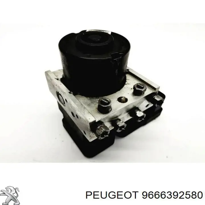  9666392580 Peugeot/Citroen