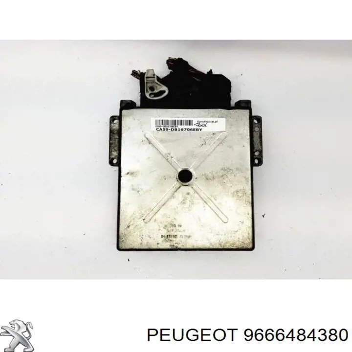  9666484380 Peugeot/Citroen