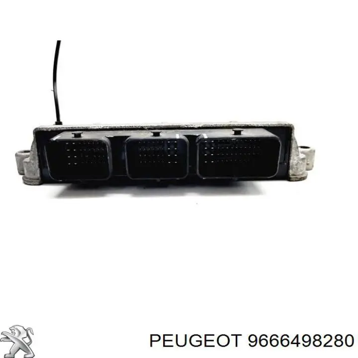 9666498280 Peugeot/Citroen 
