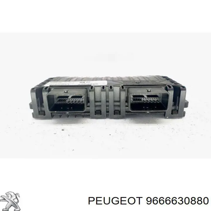  Peugeot/Citroen 9666630880 ціна, від 41.53 USD