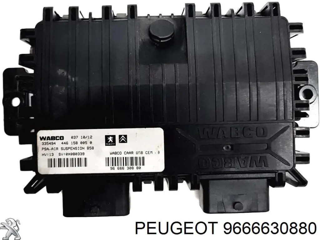 9666630880 Peugeot/Citroen 