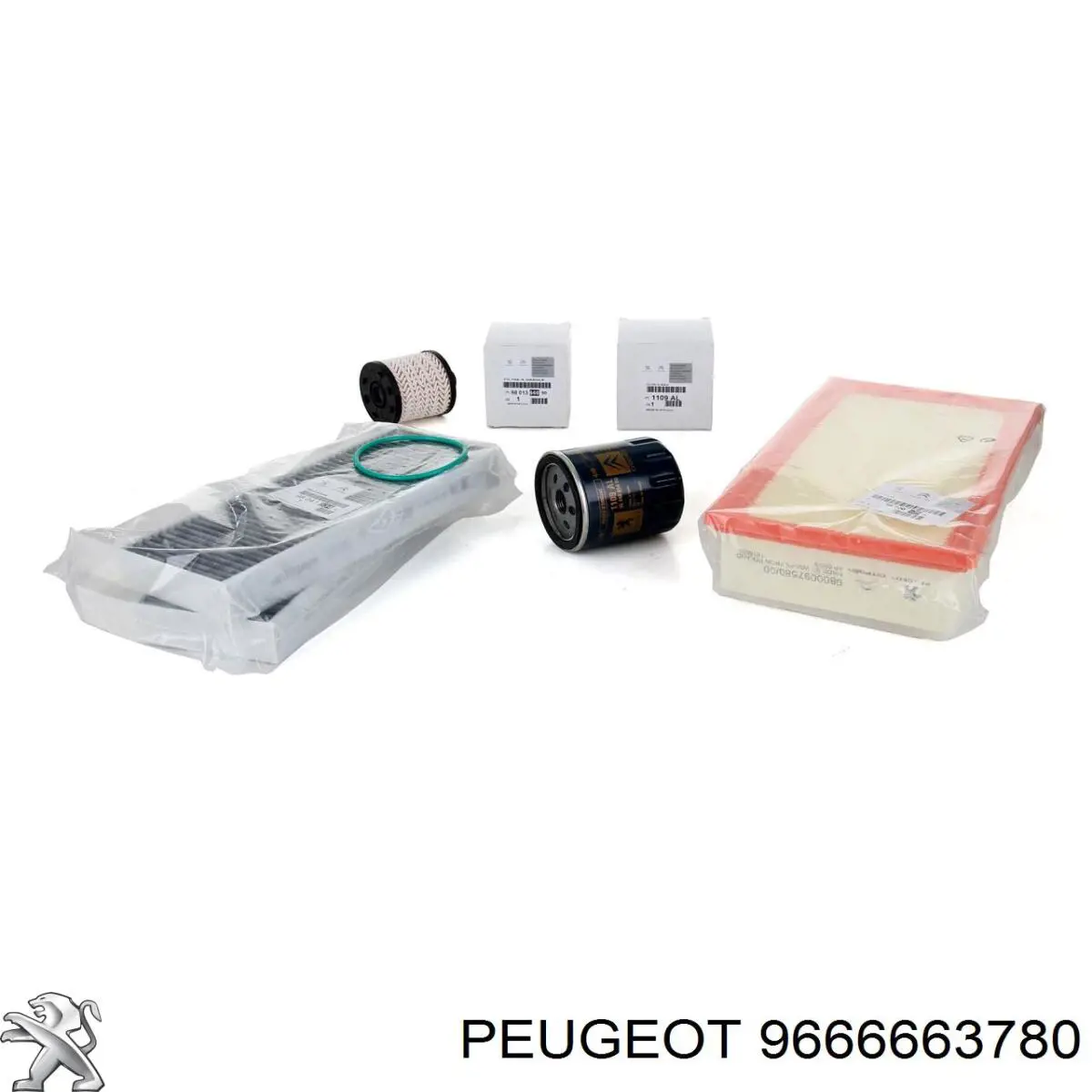  9666663780 Peugeot/Citroen