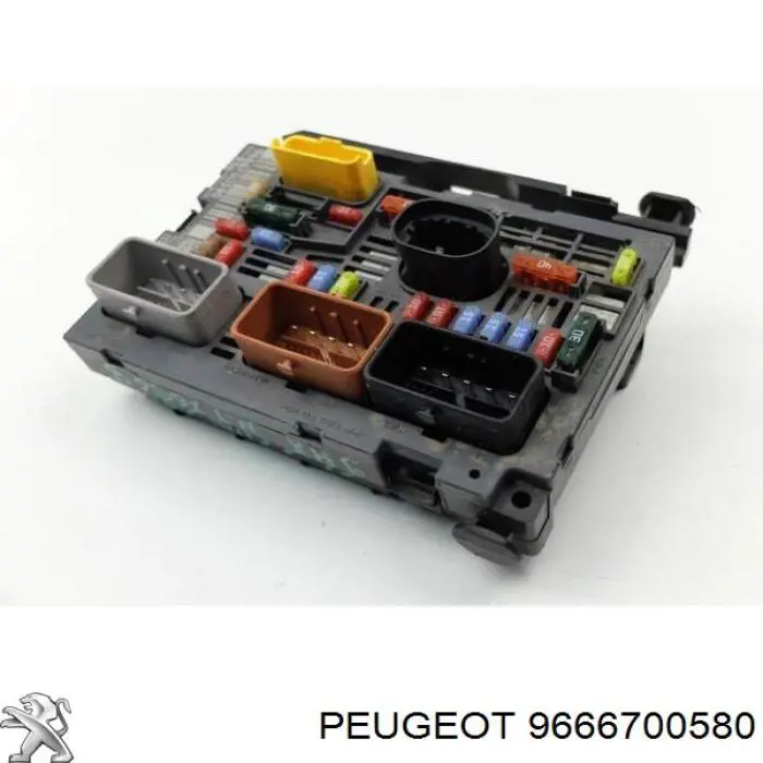 9666700580 Peugeot/Citroen 