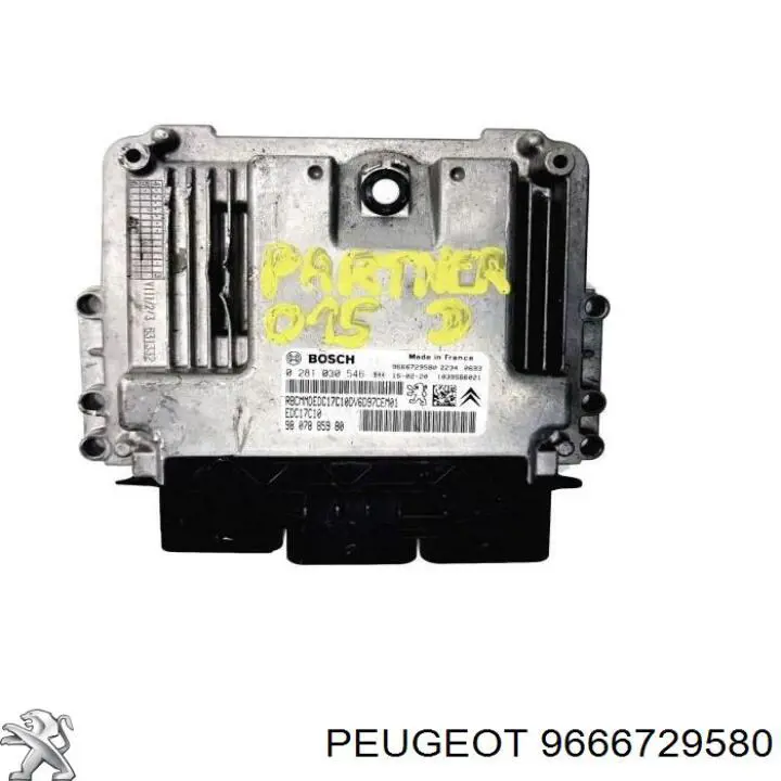  9666729580 Peugeot/Citroen