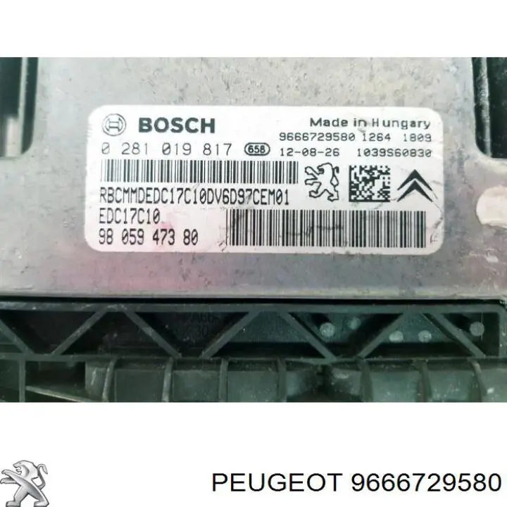 9666729580 Peugeot/Citroen 