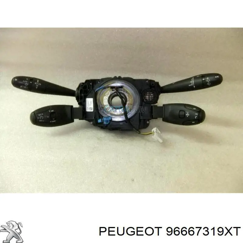 96667319XT Peugeot/Citroen 