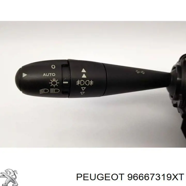  96667319XT Peugeot/Citroen