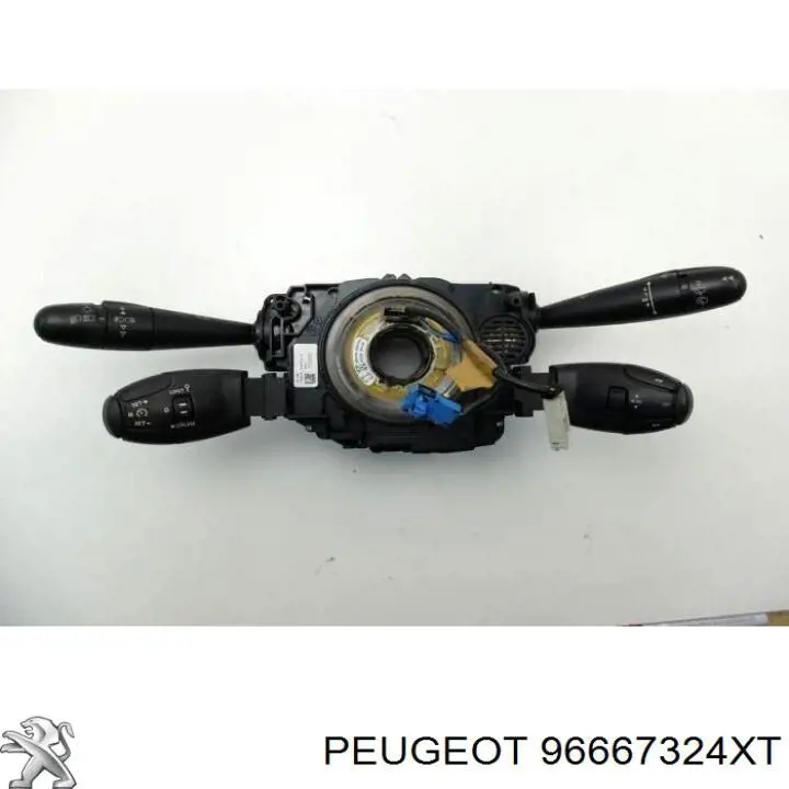 96667324XT Peugeot/Citroen 