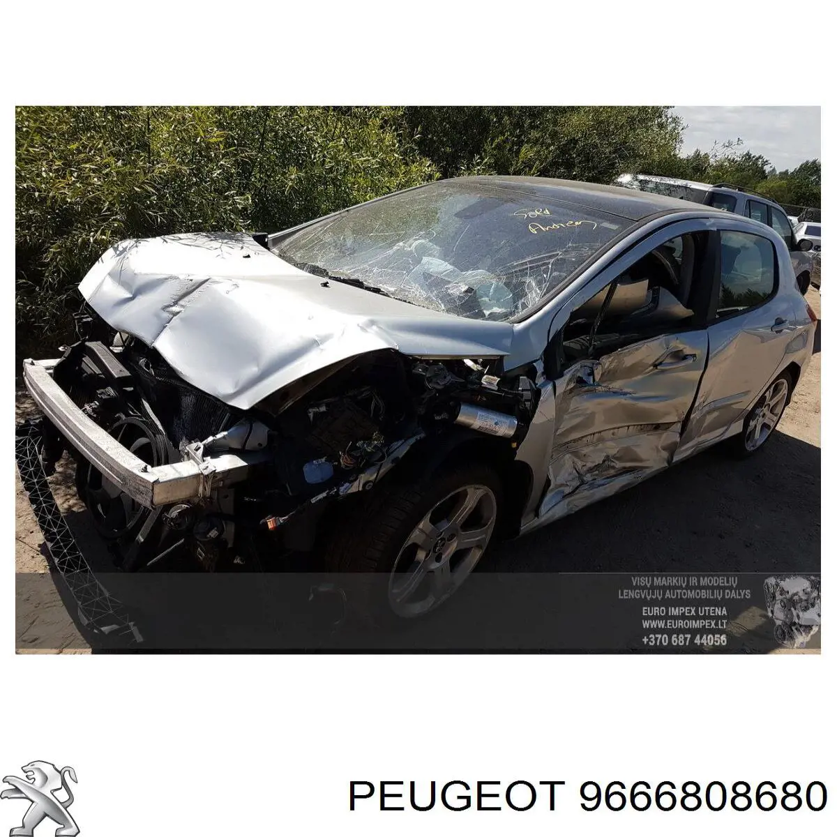  9666808680 Peugeot/Citroen