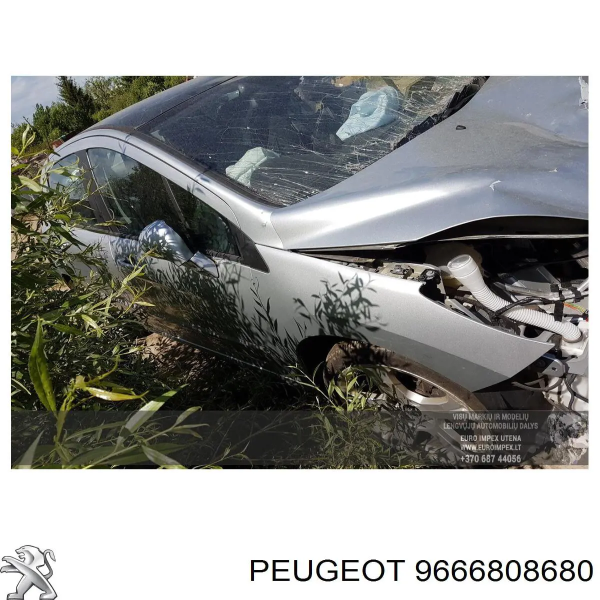 9666808680 Peugeot/Citroen 
