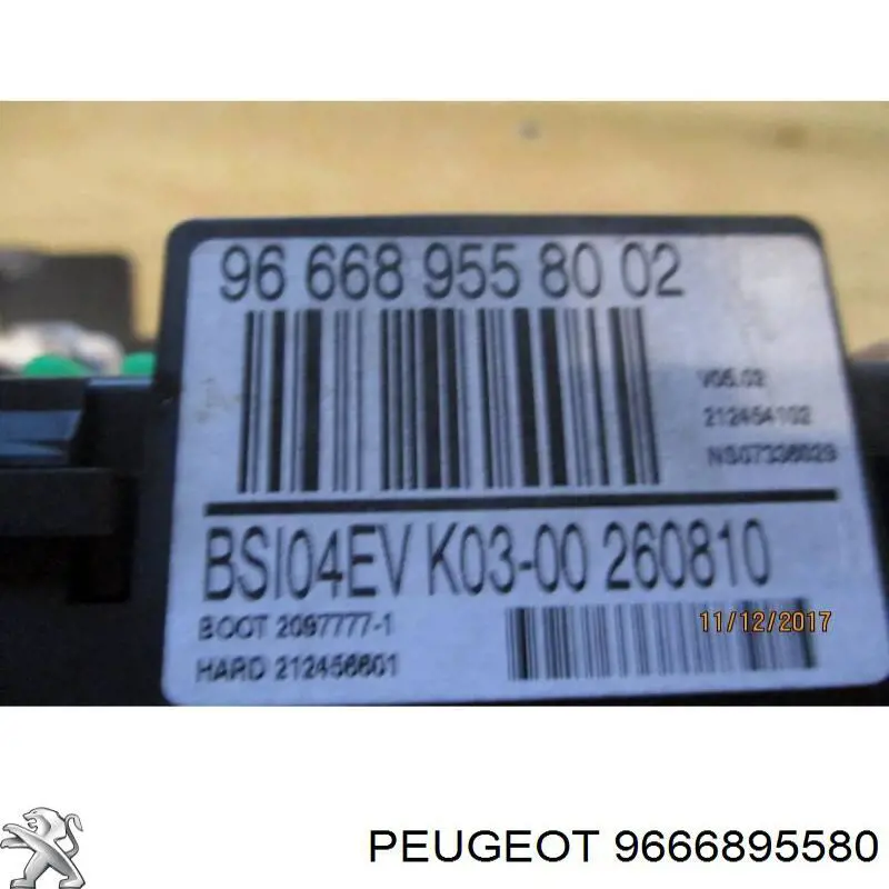  9666895580 Peugeot/Citroen