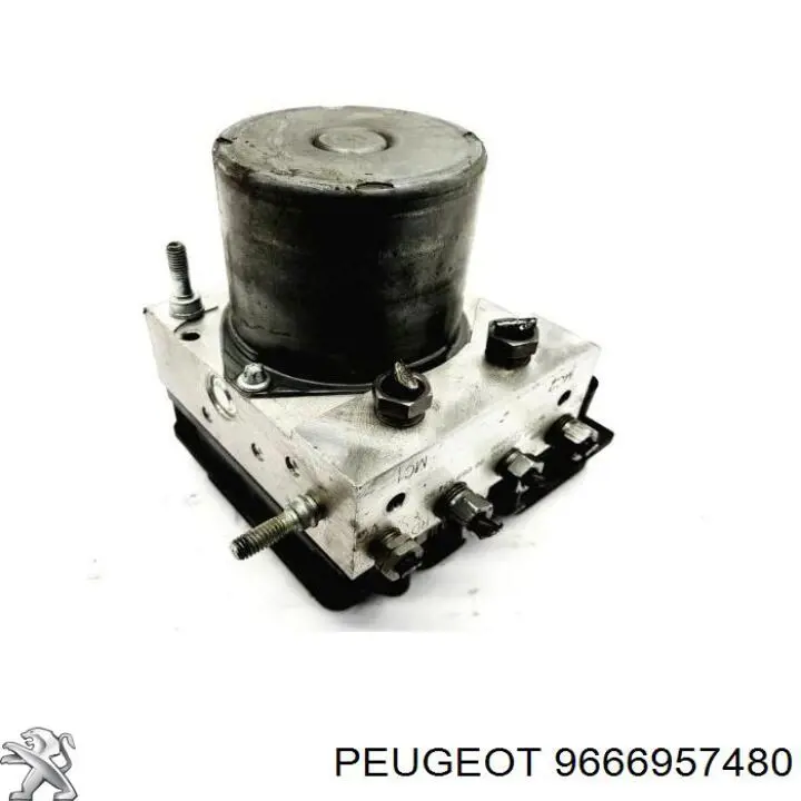  9666957480 Peugeot/Citroen
