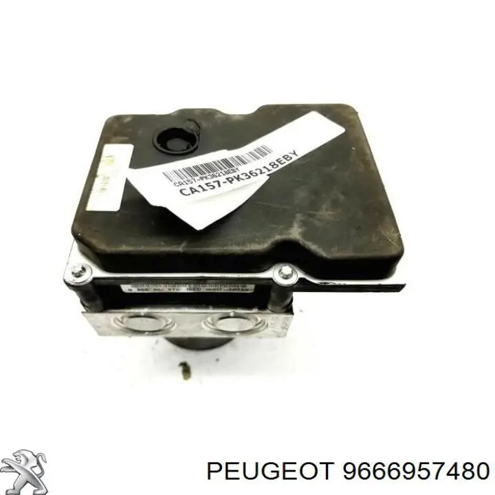 9666957480 Peugeot/Citroen 