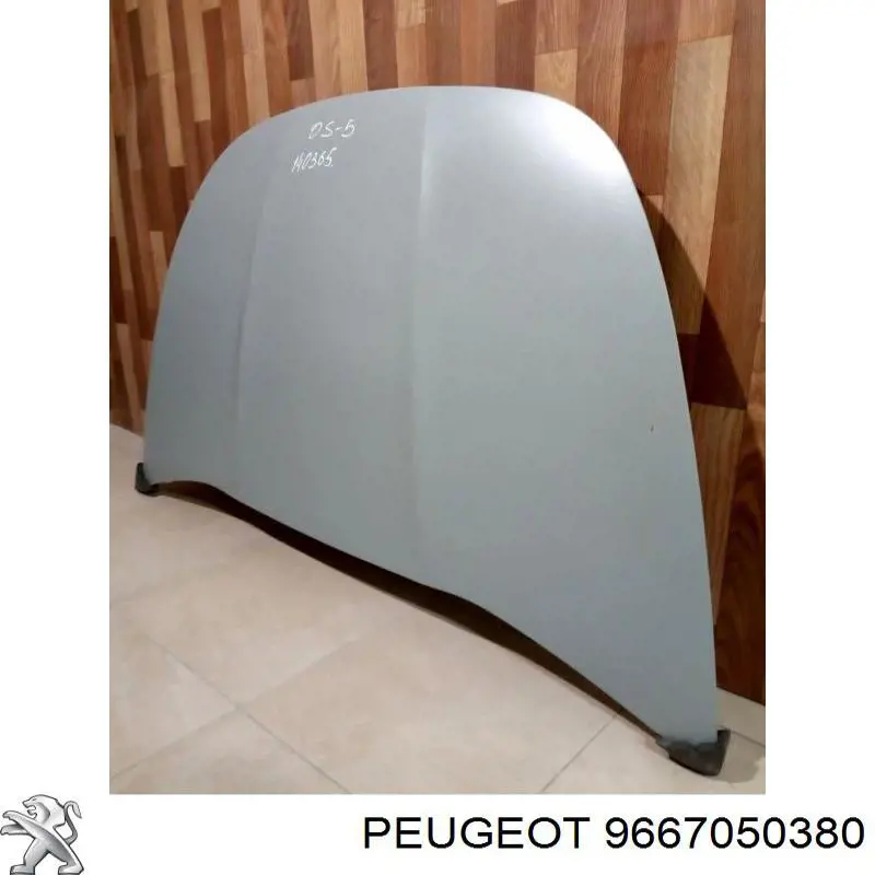Капот Peugeot/Citroen 9667050380 ціна, від 435.03 USD
