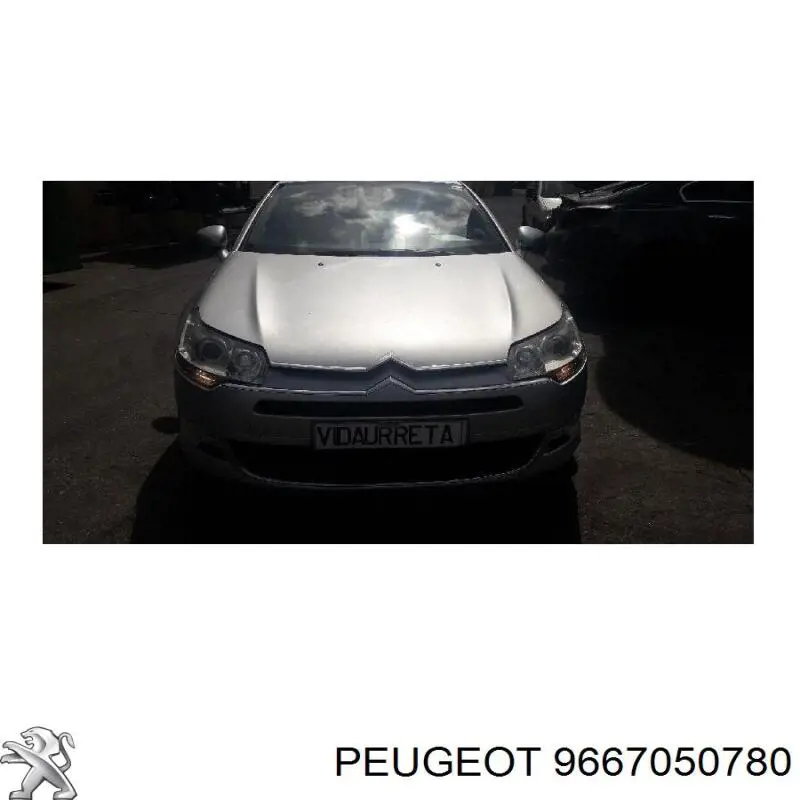 Двері передні, ліві Peugeot/Citroen 9667050780 ціна, від  USD