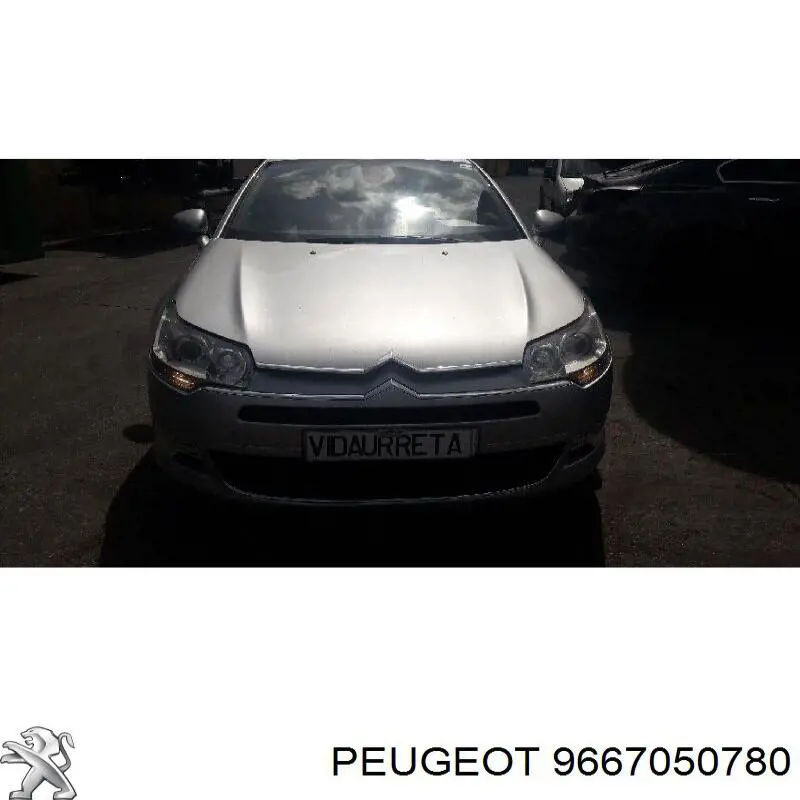 Двері передні, ліві 9667050780 Peugeot/Citroen