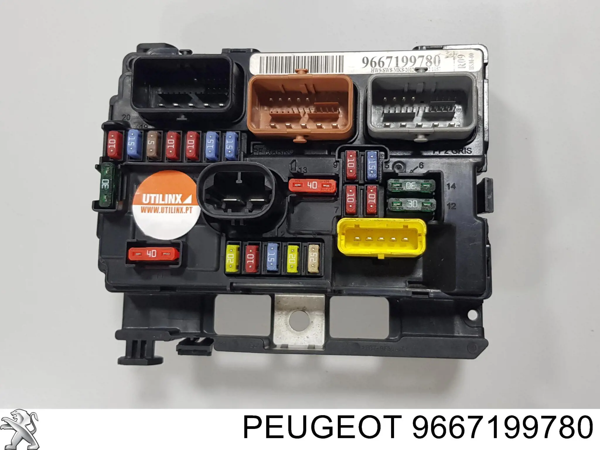  9667199780 Peugeot/Citroen