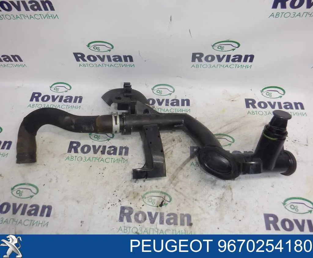Купити 9670254180 Peugeot/Citroen 
