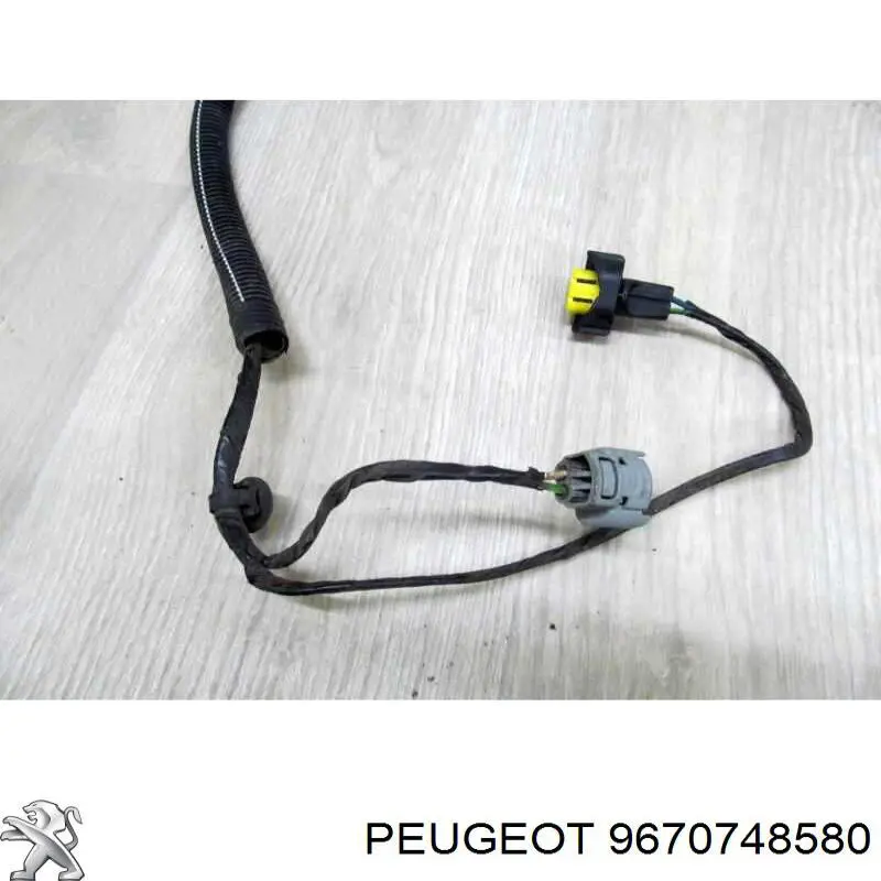  9670748580 Peugeot/Citroen