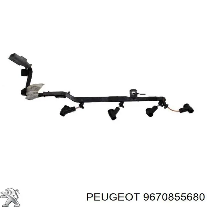 Купити 9670855680 Peugeot/Citroen 