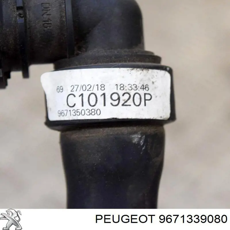 Купити 9671339080 Peugeot/Citroen Шланг/патрубок радіатора охолодження, верхній