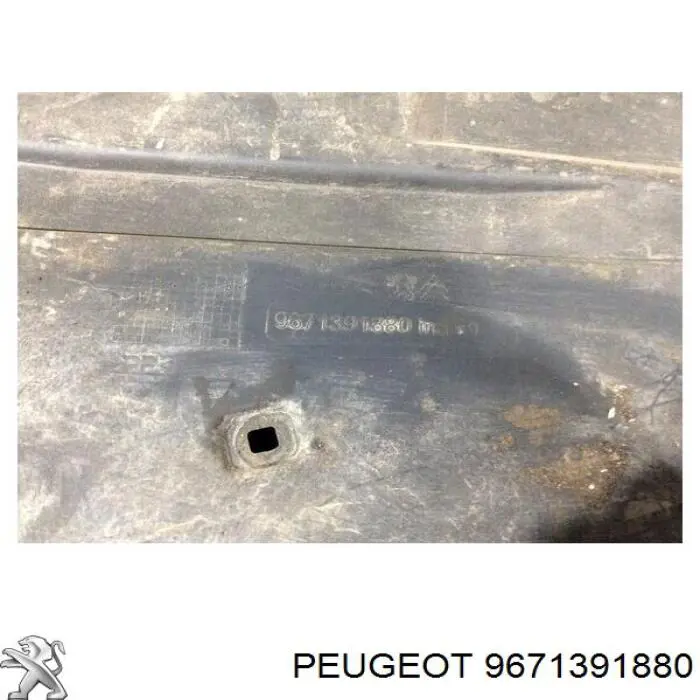 Купити 9671391880 Peugeot/Citroen 