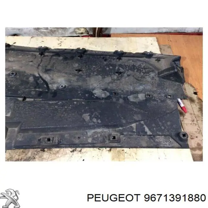 9671391880 Peugeot/Citroen 
