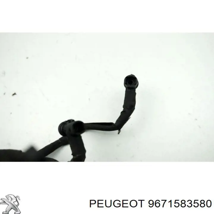  Peugeot/Citroen 9671583580