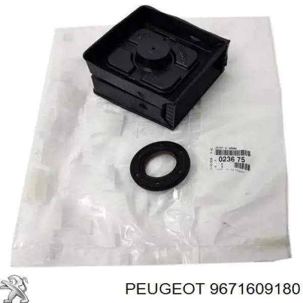 Купити 9671609180 Peugeot/Citroen Натягувач приводного ременя