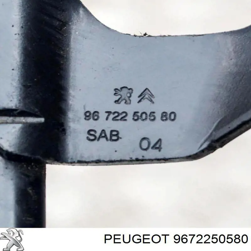  9672250580 Peugeot/Citroen