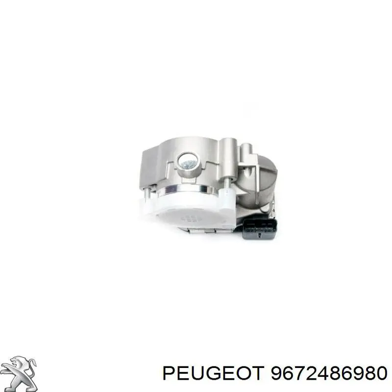9672486980 Peugeot/Citroen 