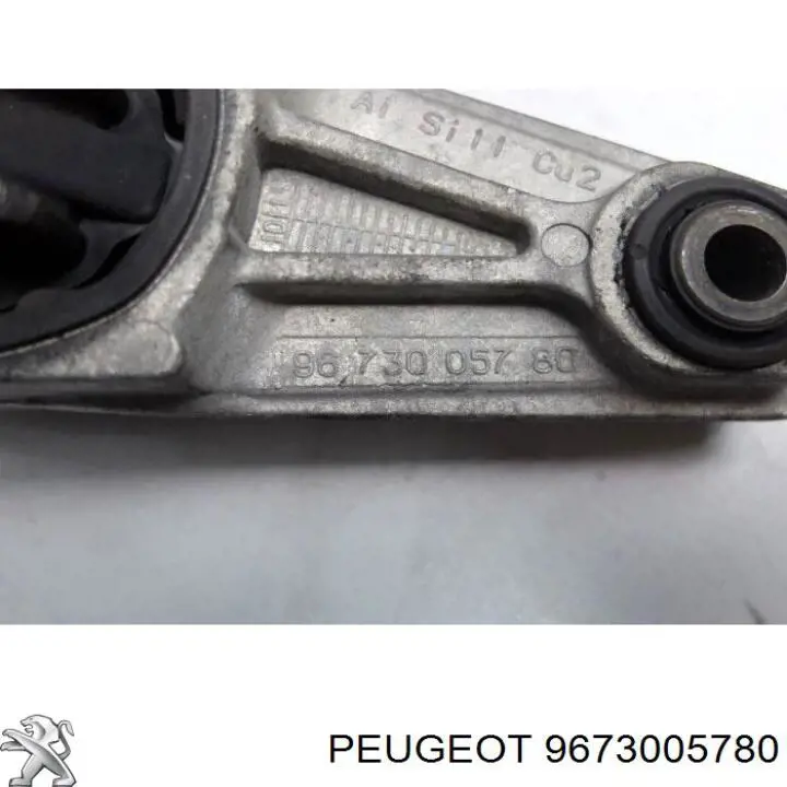 9673005780 Peugeot/Citroen 