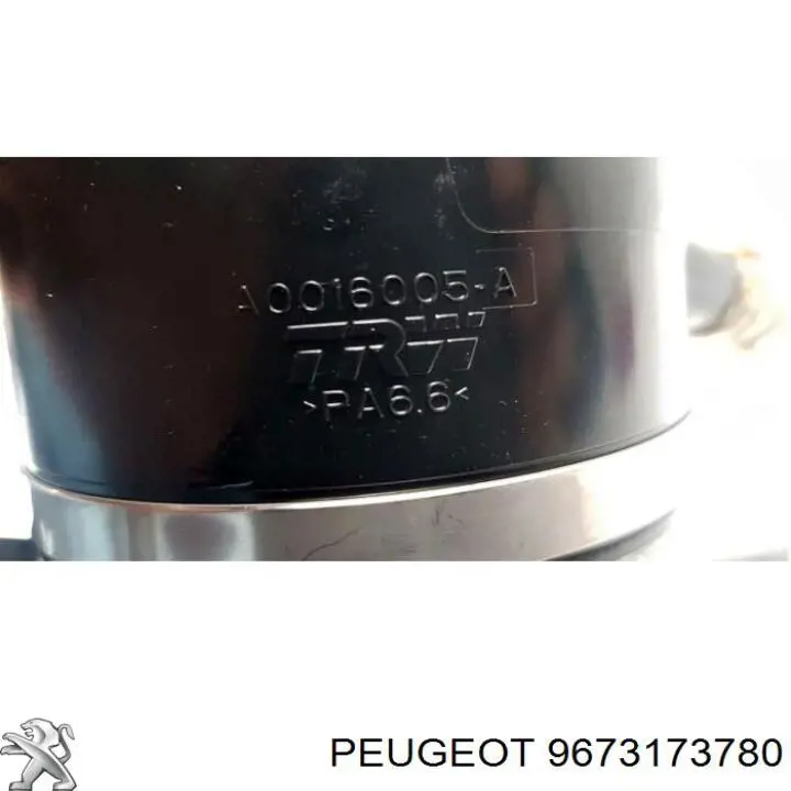  9673173780 Peugeot/Citroen