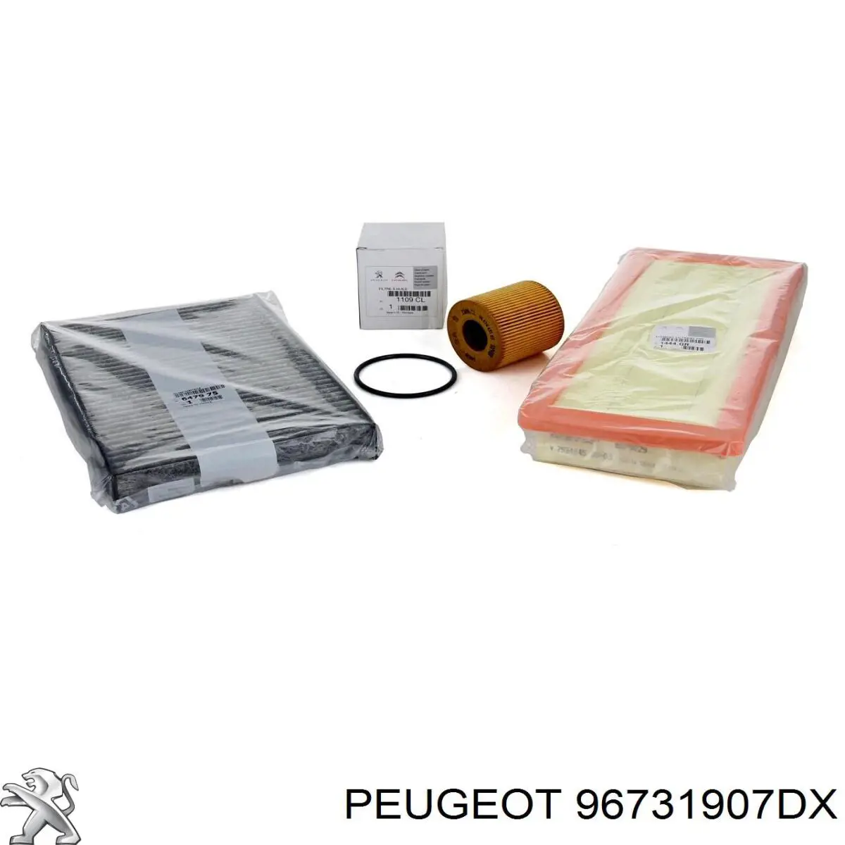 96731907DX Peugeot/Citroen 