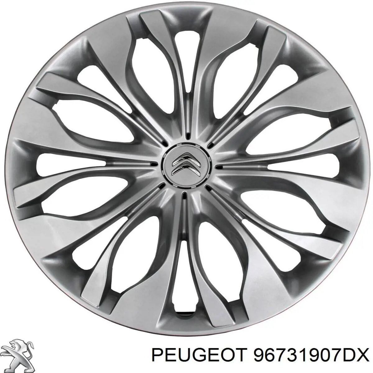  96731907DX Peugeot/Citroen